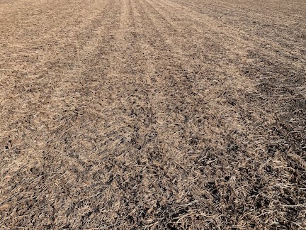 harvested soybean field