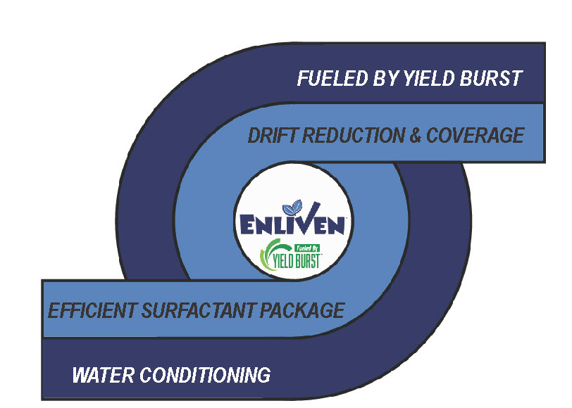 Enliven illustration link to fact sheet