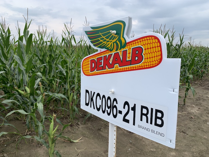 Dekalb seed plot sign