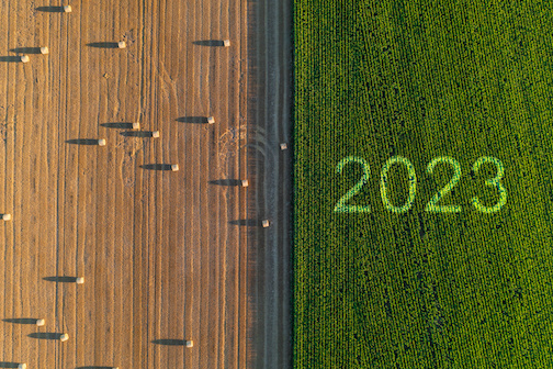 Assessing 2022 and preparing 2023 crop lans