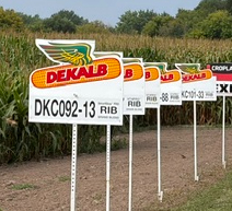 Federated Discovery Plot Days were a success!