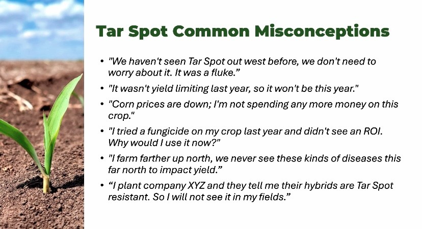 Tar spot common misconceptions