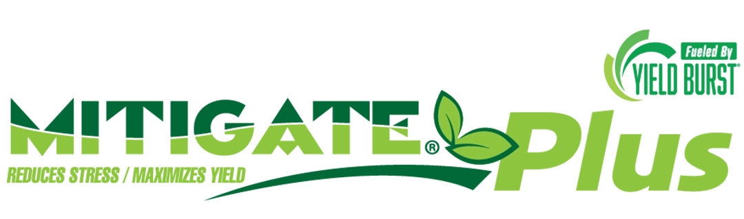 Mitigate Plus