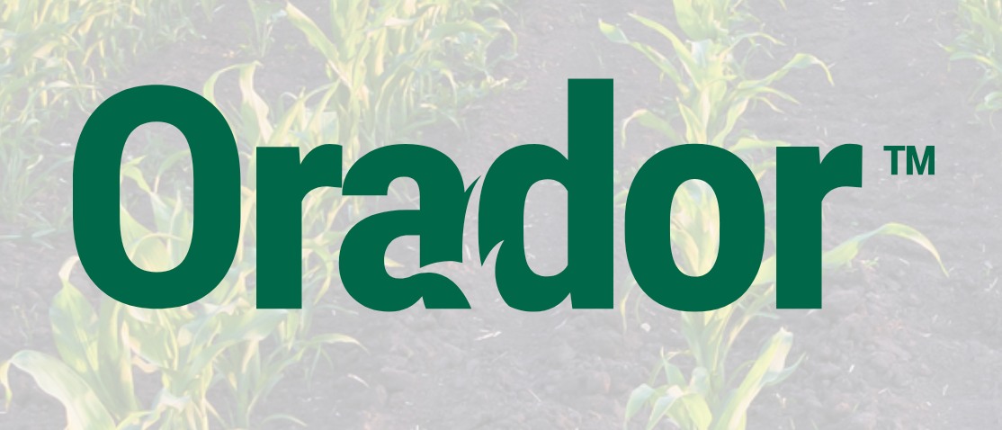 Orador offers the same knockdown and residual weed-control for corn as pricy alternatives.
