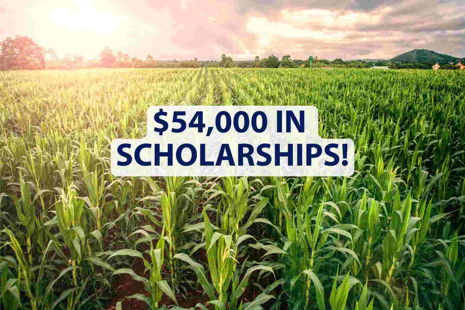 2026 Scholarships