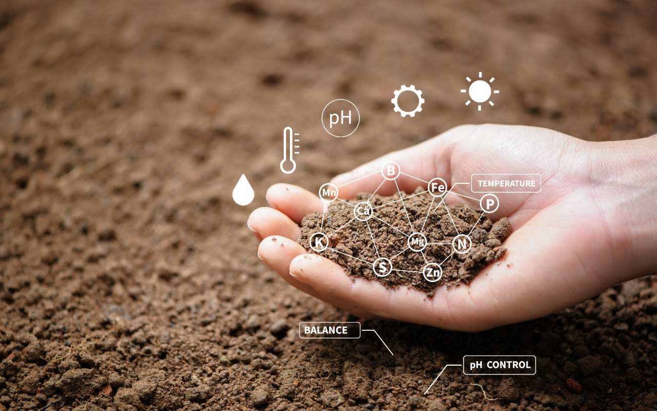 A simple soil sample can be worth its weight in gold.