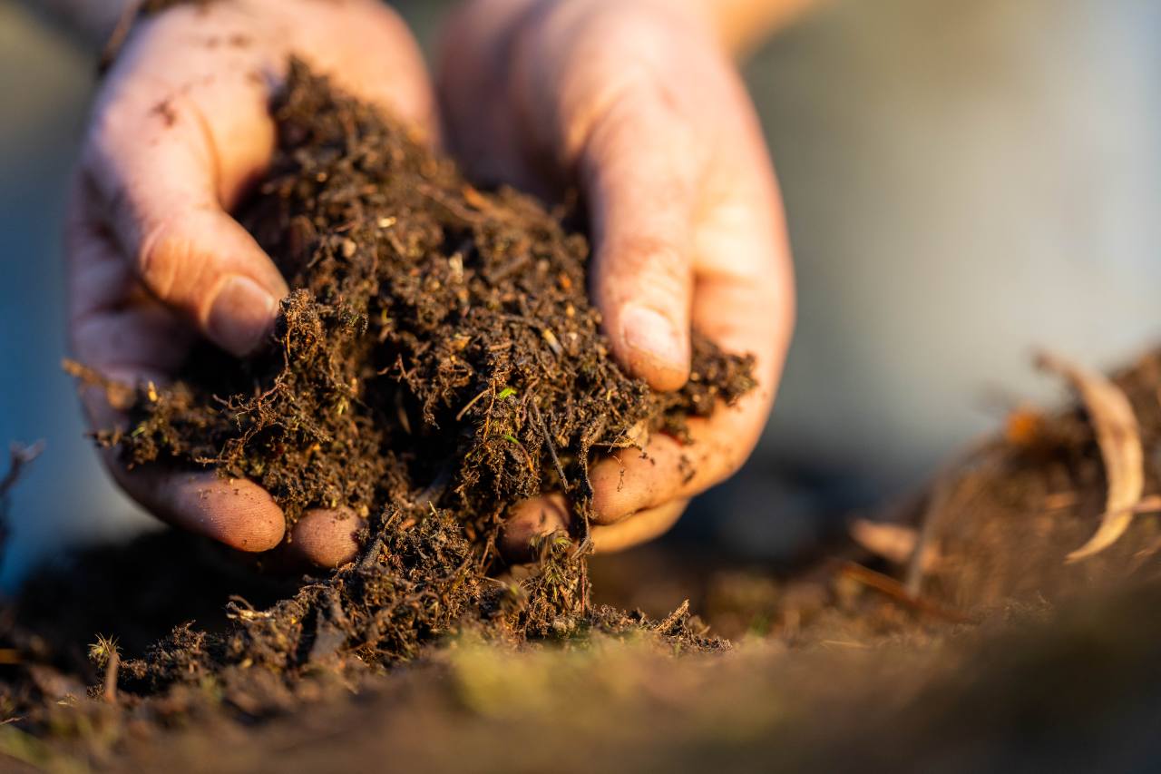 Sampling soil after soybeans is smart and efficient
