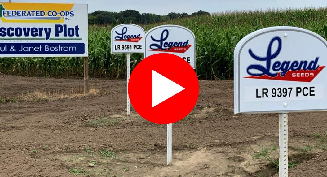  What to do if you missed your pre-emerge application window