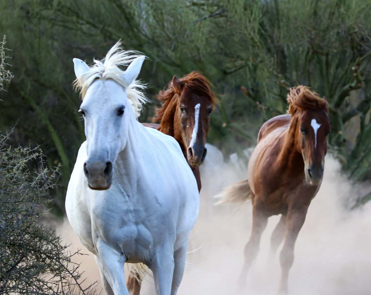 Stalliom helps increase your yields.