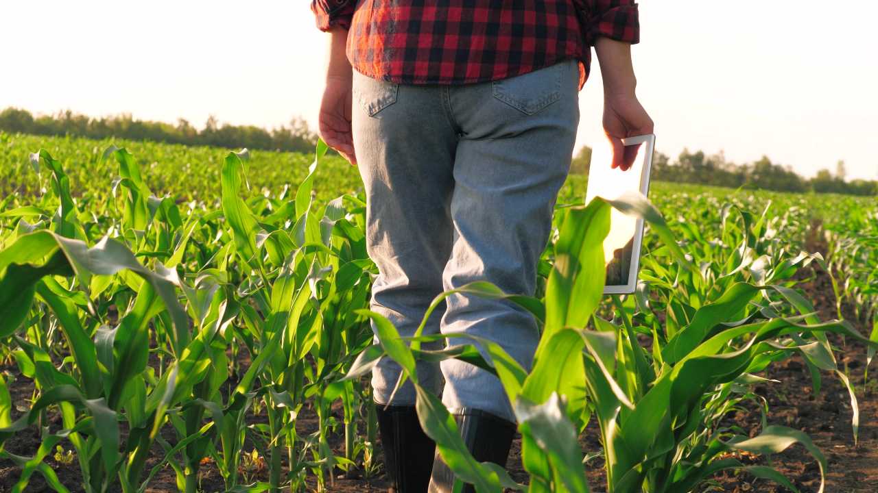 Stride Bio offers corn a strong start.