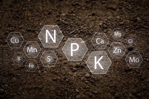 Fertilizer investments require soil nutrient knowledge