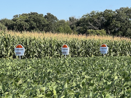 2025 Discovery Plot 