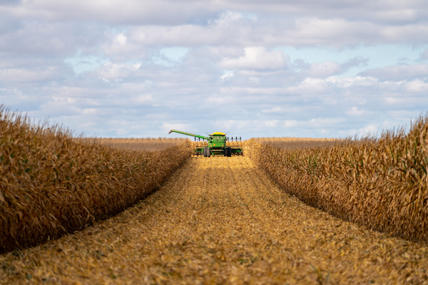 Apply fall fertilizer right after the combine leaves the field and before tillage.