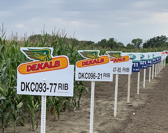 plot signs_corn