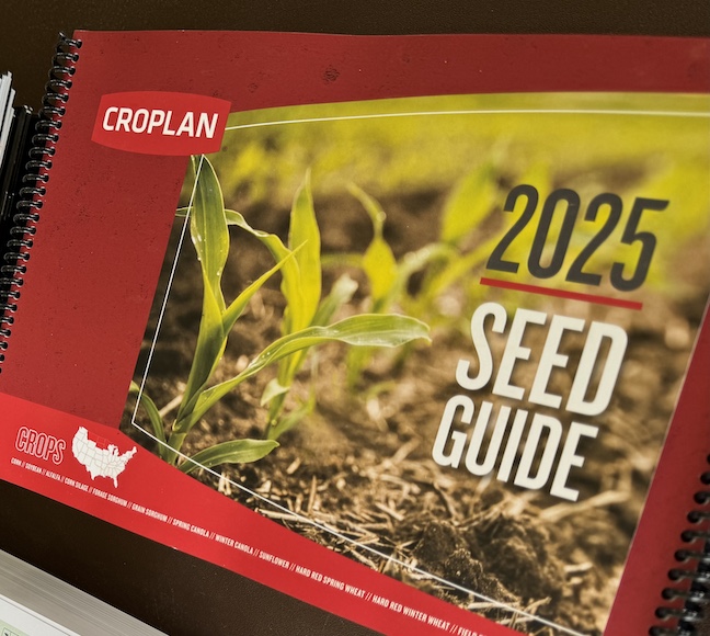 seed choices 2025