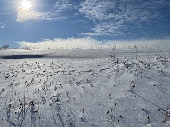 Snow-covered and frost-free fields may lend themselves to an early spring.