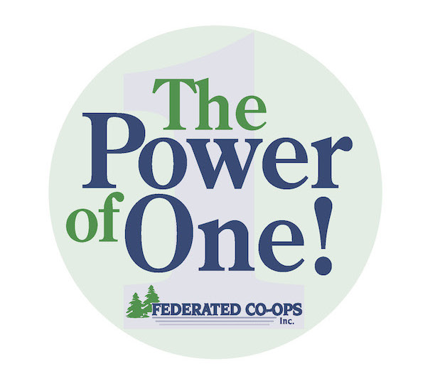 The Power of One logo