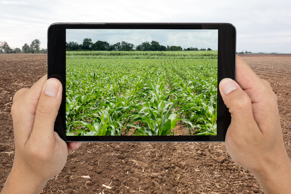 envisioning a crop on a bare field