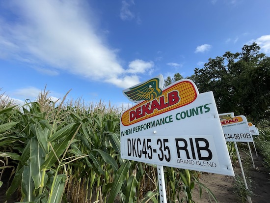 Discovery Plots had some surprises as harvest continues.