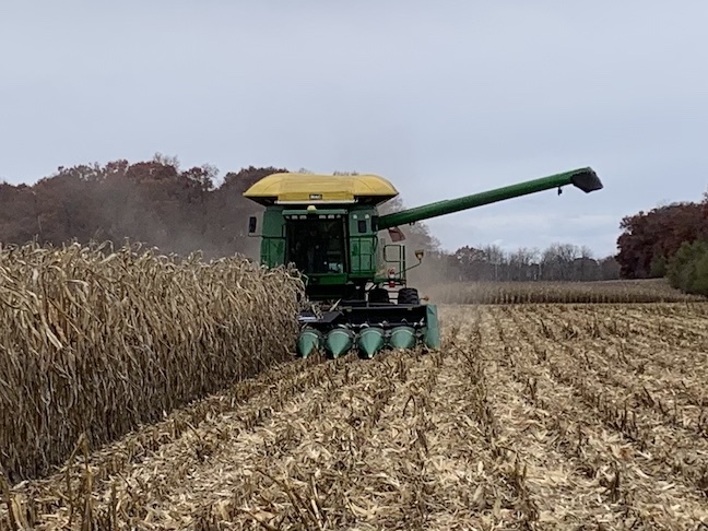 Discovery Plot corn harvest 2023