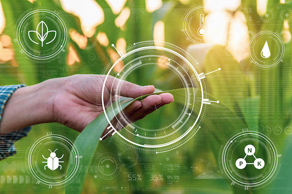 precision ag and variable rate inputs