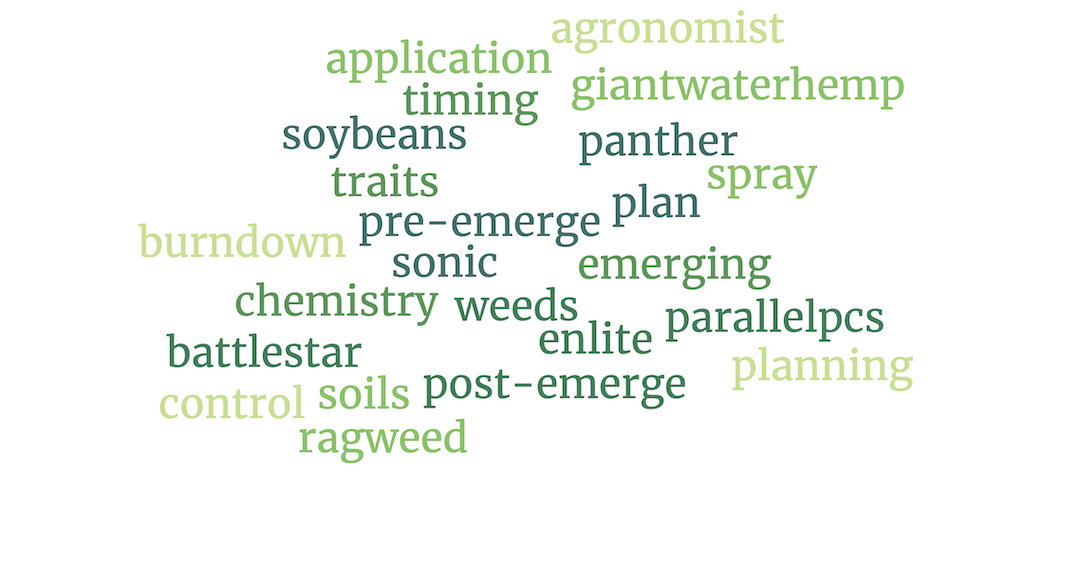 Pre-merge herbicides are critical to weed control in soybeans