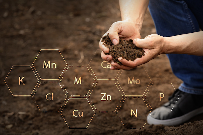 Fall soil sampling reveals what is needed for next season.