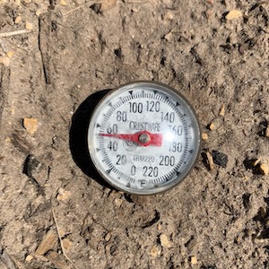 Soils are warming, planters are going, stay in touch with your Federated Agronomist.
