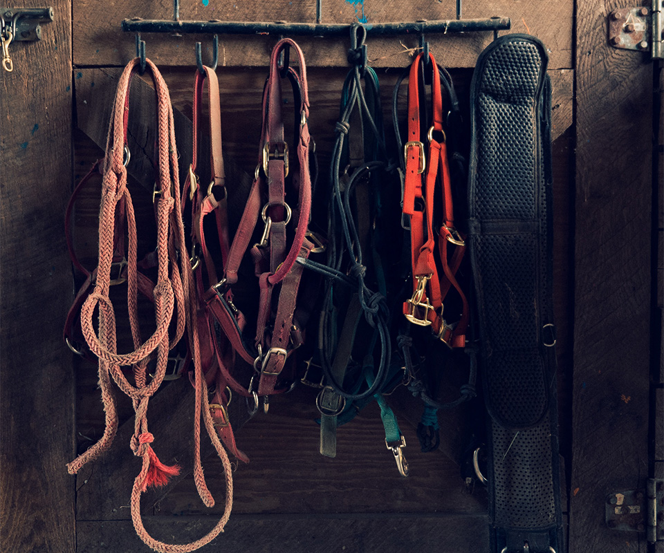 Tack on a wall.