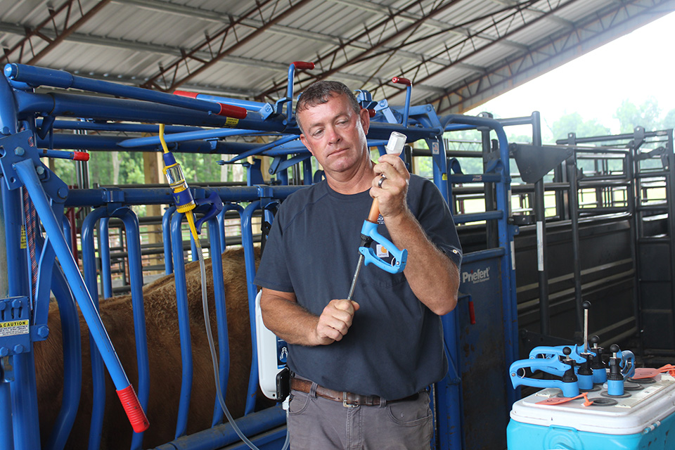 A farmer prepping a syringe.