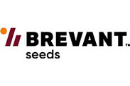 Brevant Seeds