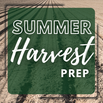 Summer Harvest Prep