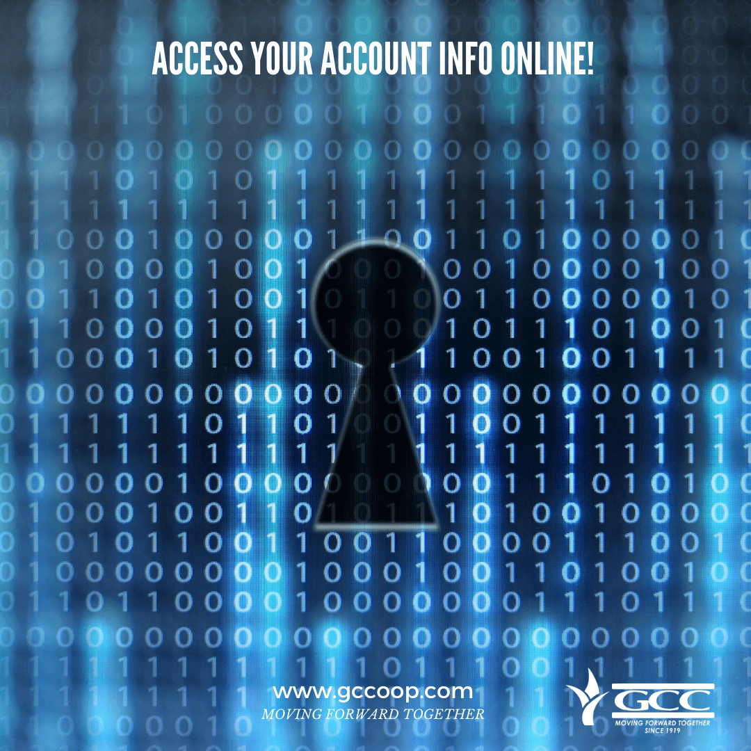 Access Your Account Info Online!