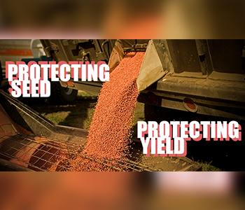 Protecting Seed = Protecting Yield