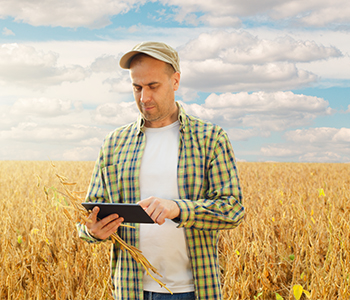 Selling Grain Through An Offer