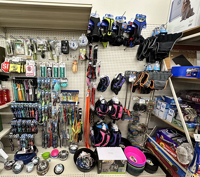 Wall display of leashes, collars, supplies, etc. for companion animals.