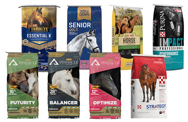 ProTrition feed Equine