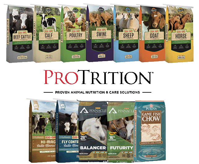 ProTrition - Proven Animal Nutrition & Care Solutions