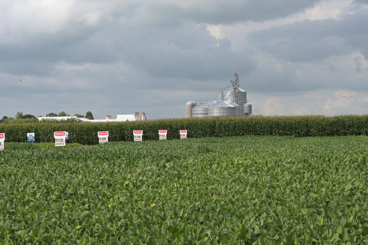 Murdock Plot Day 2022