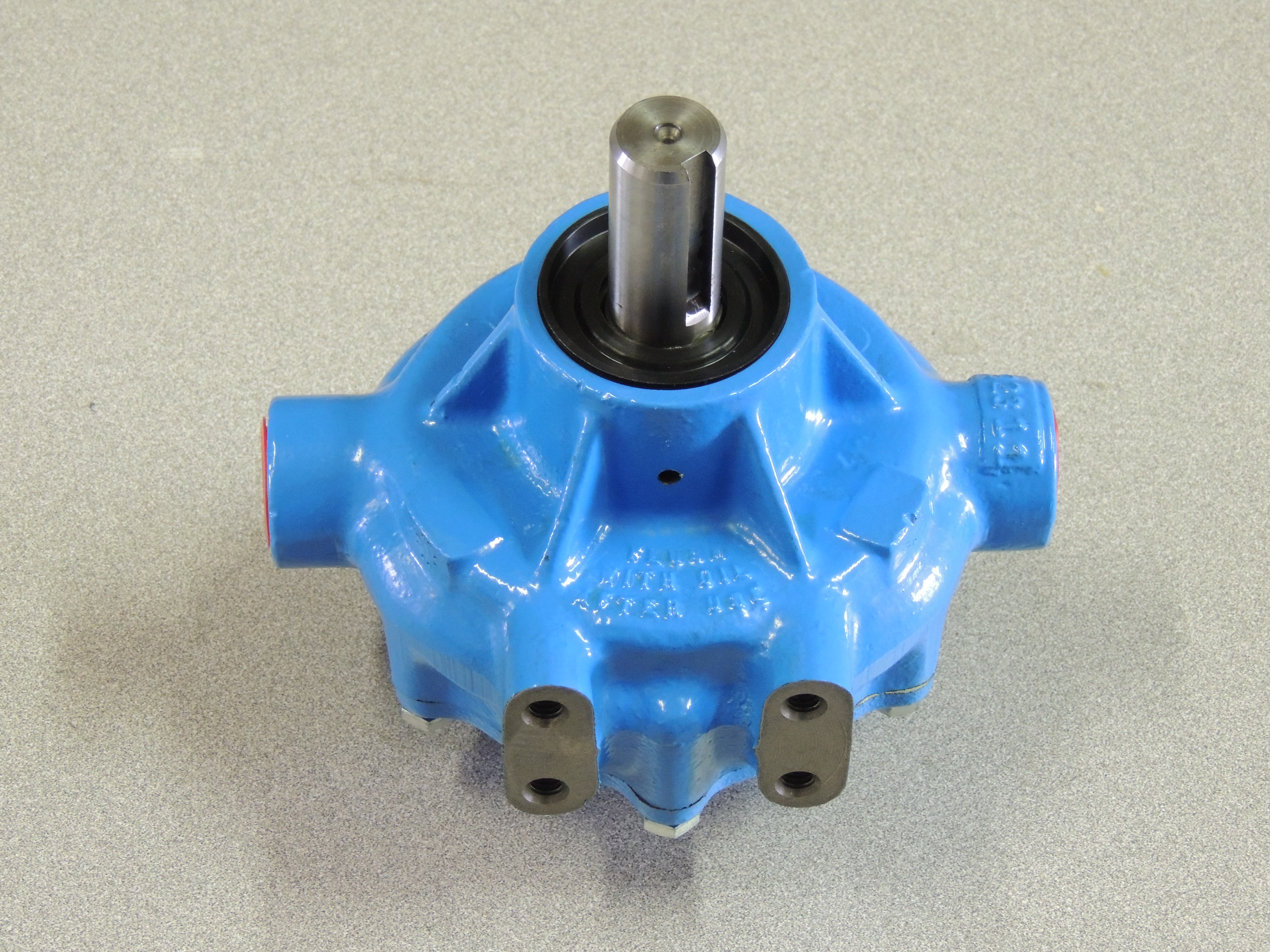 Blue Hydro 7 Roller Cast Iron Pump Image