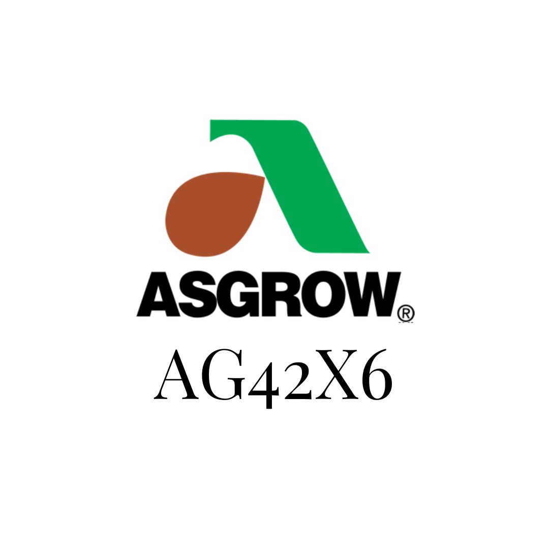 ASGROW 42X6