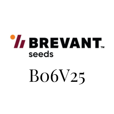 BREVANT 06V25