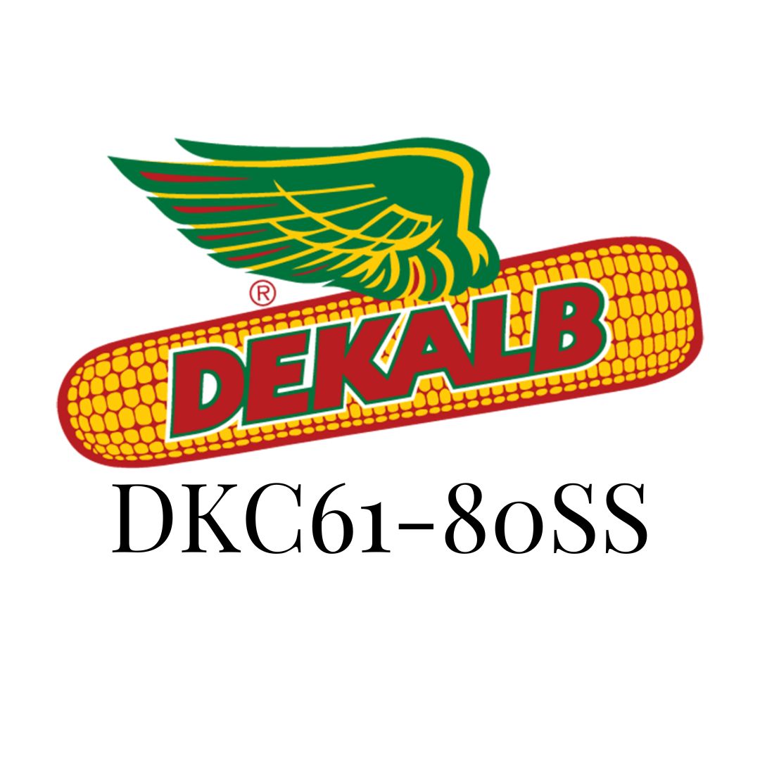 DEKALB 61-80 SS