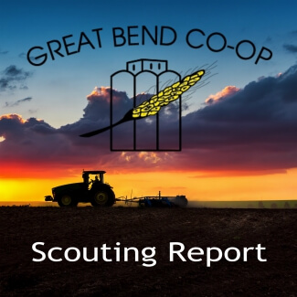 Scouting Report - June 10, 2019