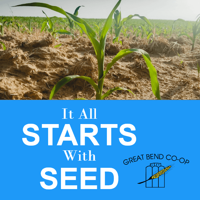 It All Starts with Seed