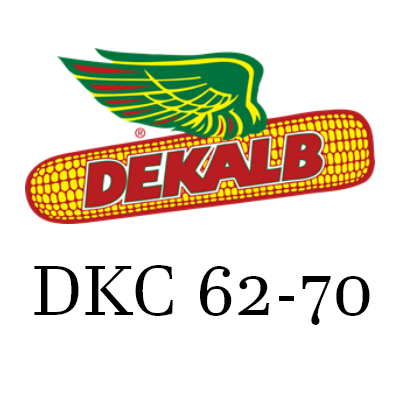 DEKALB 62-70