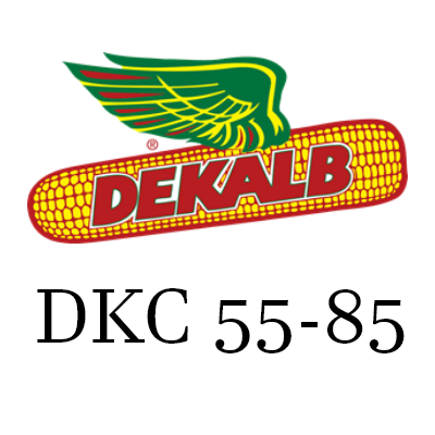 DEKALB 55-85