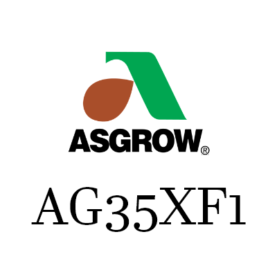 ASGROW 35XF1