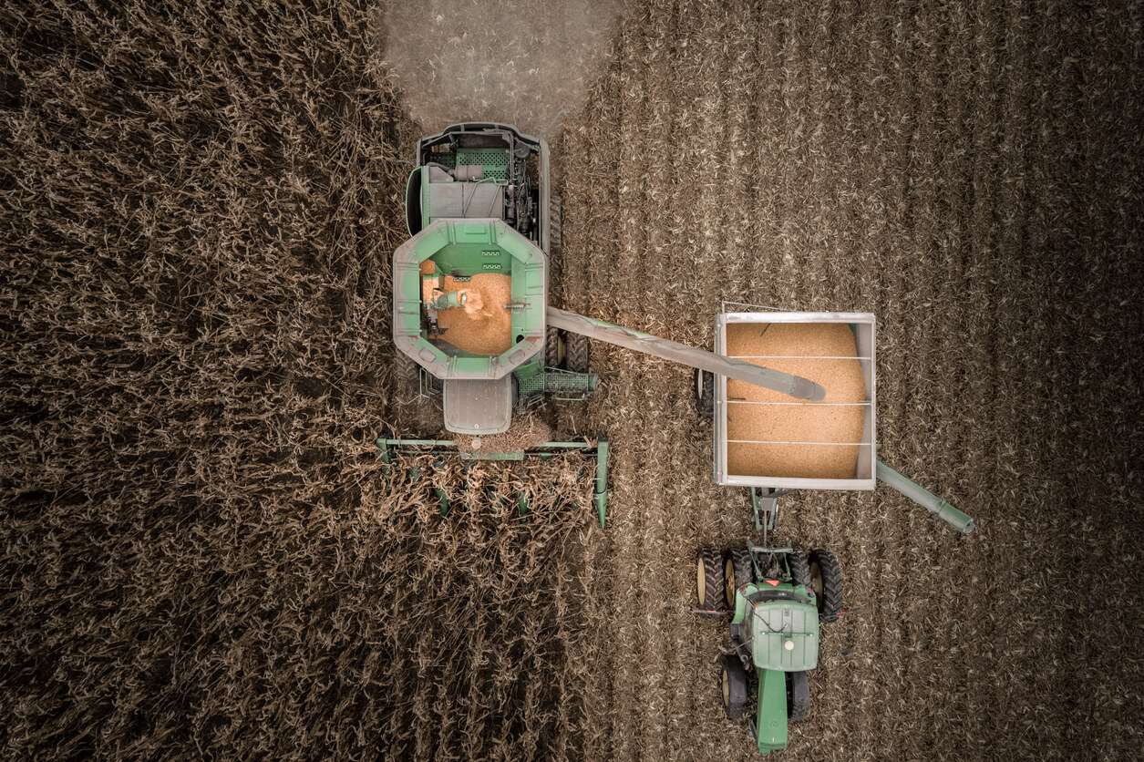 Drone Image overlooking combine harvesting corn in field.