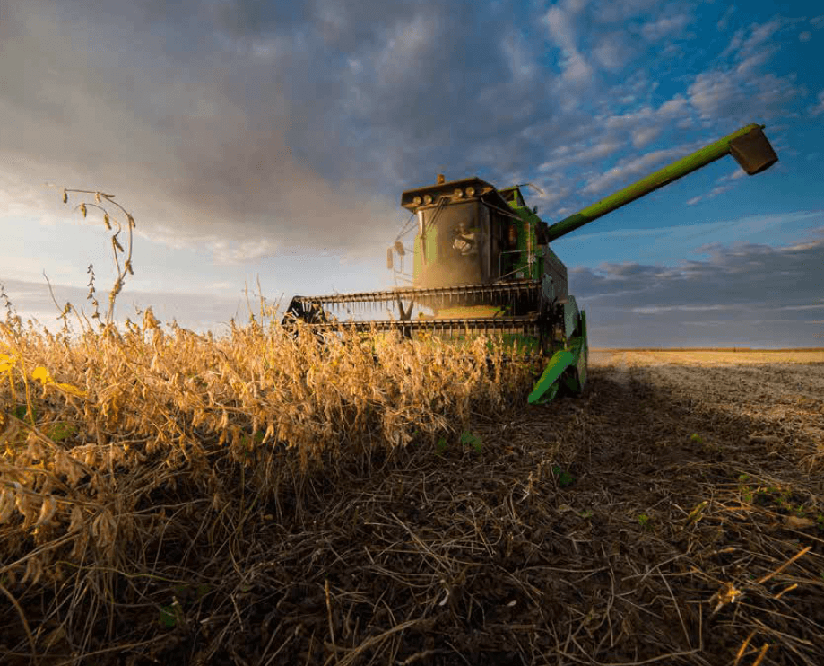 Combine harvesting soybeans in field at sunset